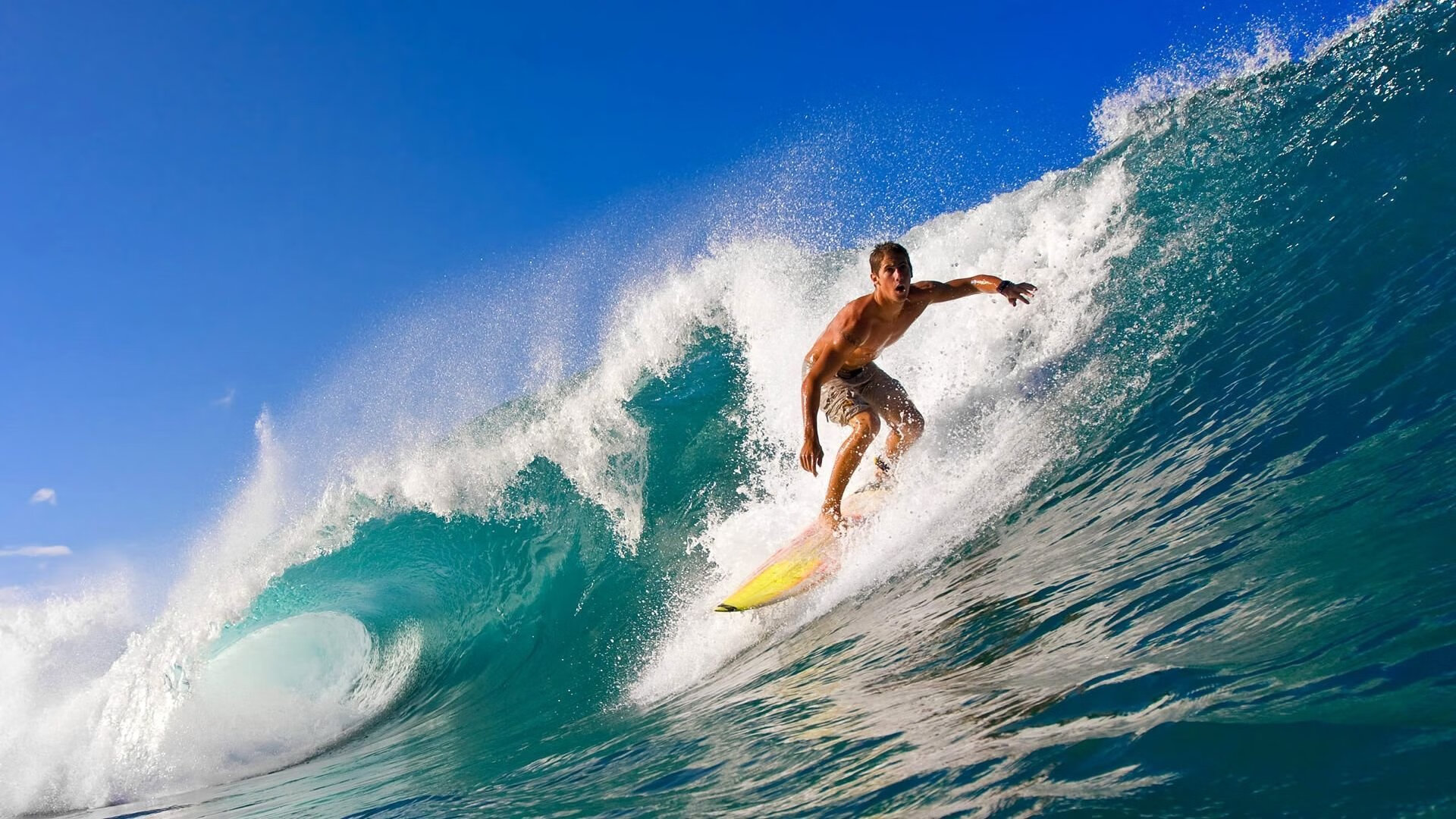 Kaiyun(中国)开云-沙尔克04逆转对手，重燃保级希望，沙尔克04贴吧