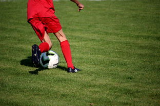 kaiyun开云·官方网站-球队在小组赛中展现稳固防守体系，球队防守效率高好还是低好